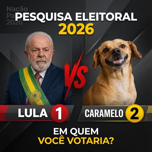 JornalBrasilOn2's tweet photo. Quem é mais útil para o Brasil ! https://t.co/k4FiBjNSHX