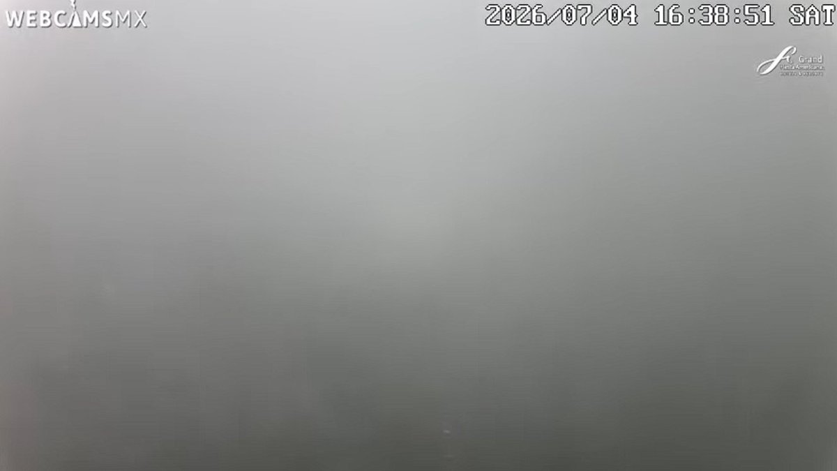 Sismoalertamex's tweet photo. ⛈️#LLUVIA | 𝗜𝗠𝗣𝗥𝗘𝗦𝗜𝗢𝗡𝗔𝗡𝗧𝗘: 𝗘𝗻 𝗺𝗲𝗻𝗼𝘀 𝗱𝗲 𝟭𝟬 𝗺𝗶𝗻𝘂𝘁𝗼𝘀 𝗹𝗮 𝗹𝗹𝘂𝘃𝗶𝗮 𝗻𝘂𝗯𝗹𝗼́ 𝗽𝗼𝗿 𝗰𝗼𝗺𝗽𝗹𝗲𝘁𝗼 𝗹𝗮 𝘃𝗶𝘀𝗶𝗯𝗶𝗹𝗶𝗱𝗮𝗱 𝗲𝗻 𝗲𝗹 𝗰𝗲𝗻𝘁𝗿𝗼-𝗽𝗼𝗻𝗶𝗲𝗻𝘁𝗲 𝗱𝗲 𝗹𝗮 𝗖𝗗𝗠𝗫 | Fotos: @webcamsdemexico 

Desde la cámara panorámica del bosque de Chapultepec, se observa cómo la intensa lluvia cubrió por completo la zona poniente-centro de la CDMX. 

#lluvia