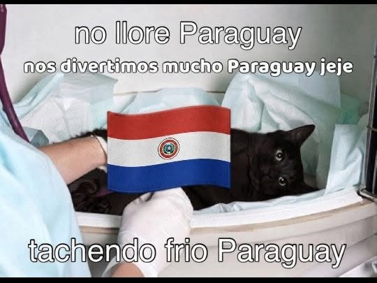 SpursBol's tweet photo. *Llora en Guaraní* https://t.co/sk02tn5OJy
