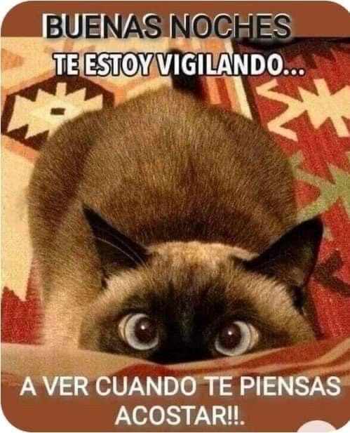 jeanleonn's tweet photo. @lisalunares https://t.co/iSD3MRTeTK