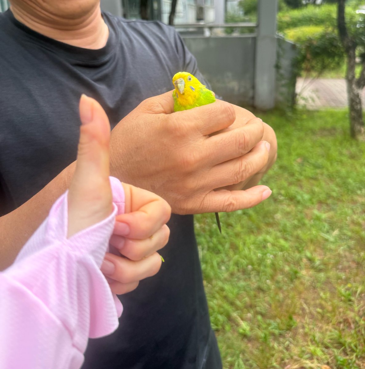 fuwann9808's tweet photo. ぴーちゃんが戻ったHappy end https://t.co/v40nqVonpC