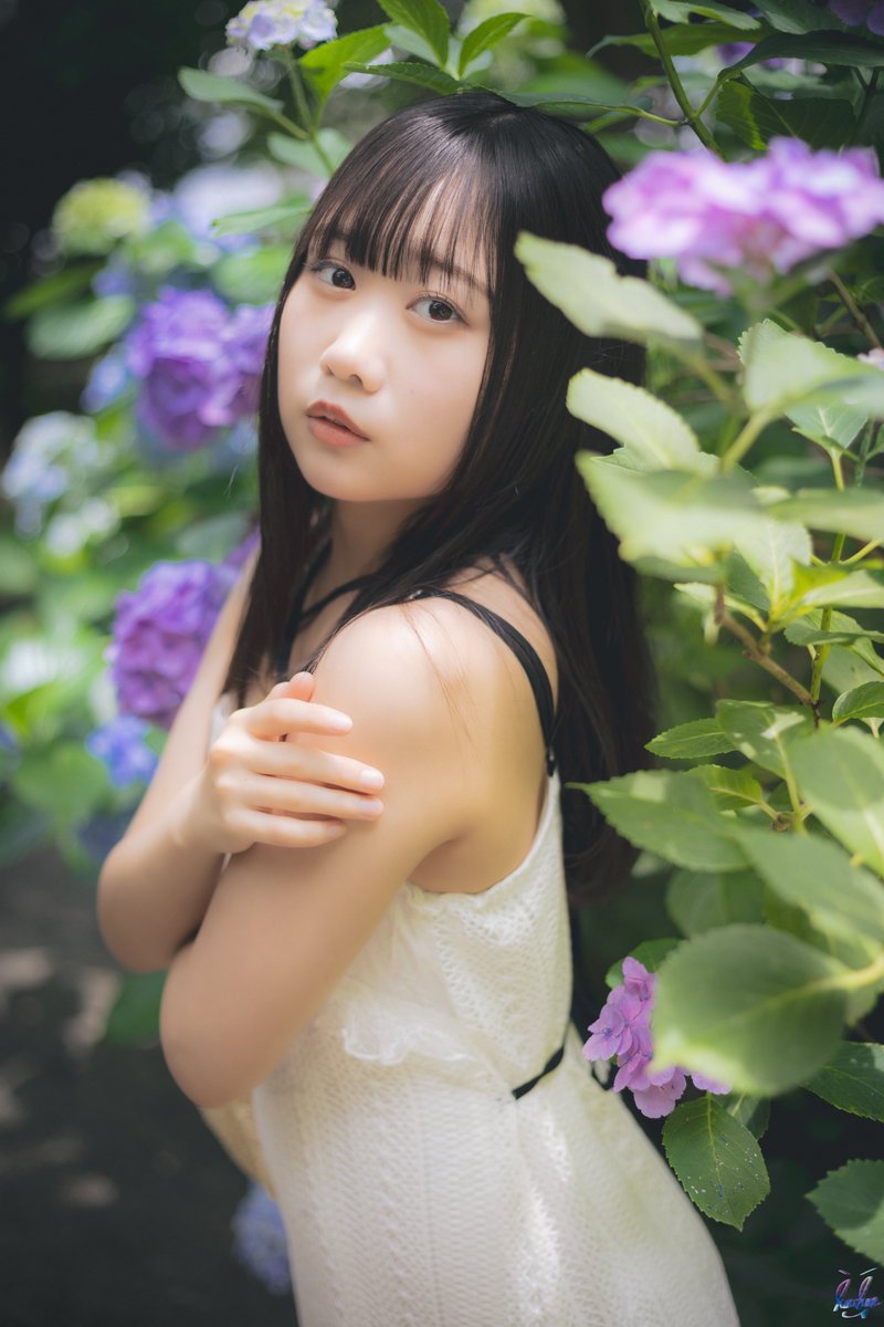 PHOTO__HON's tweet photo. 『 紫陽花が咲く頃 』  #05

#みゆ湯同好会♨️ 

※掲載許可確認済み https://t.co/nbj7XsSaAY