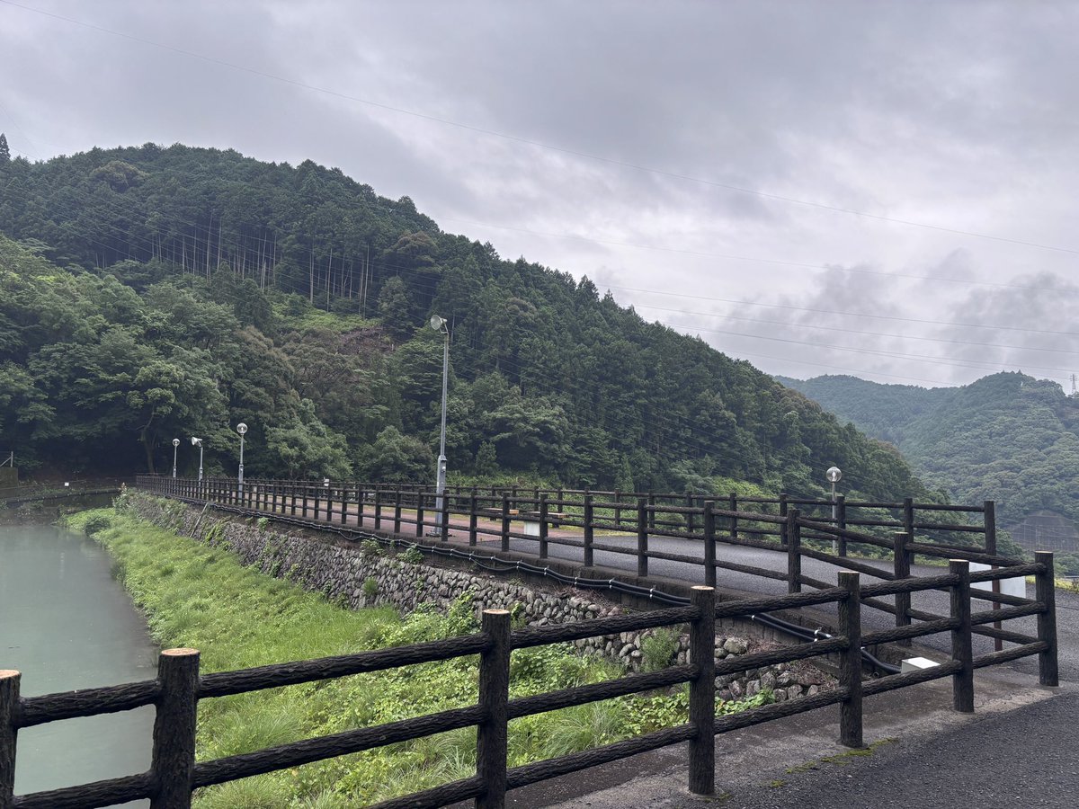 k2124e tweet picture