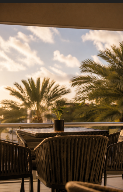 ACHotelFLL's tweet photo. A little sunshine goes a long way. ☀️🌴

Relax, recharge, and enjoy the view from our outdoor terrace at AC Hotel Fort Lauderdale Airport.

#ACHotels #ACHotelFortLauderdaleAirport #DaniaPointe #FortLauderdale #Travel https://t.co/sHJxHDMBi0