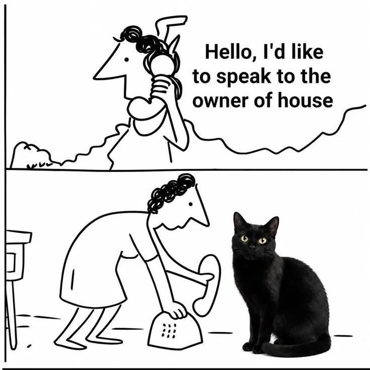 TweetsOfCats's tweet photo. https://t.co/3dO7aPIYr2