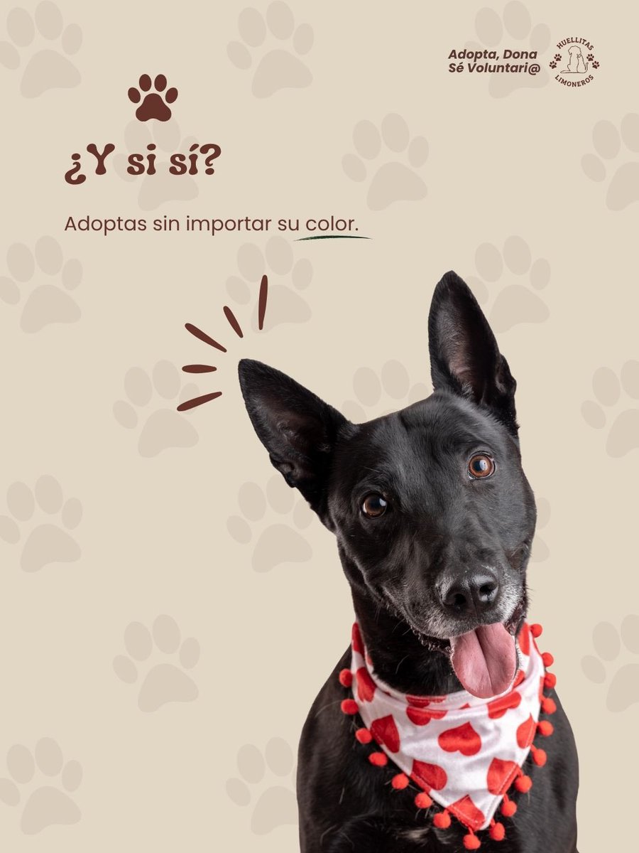 H_Limoneros's tweet photo. https://t.co/yRc00Yfp5Z