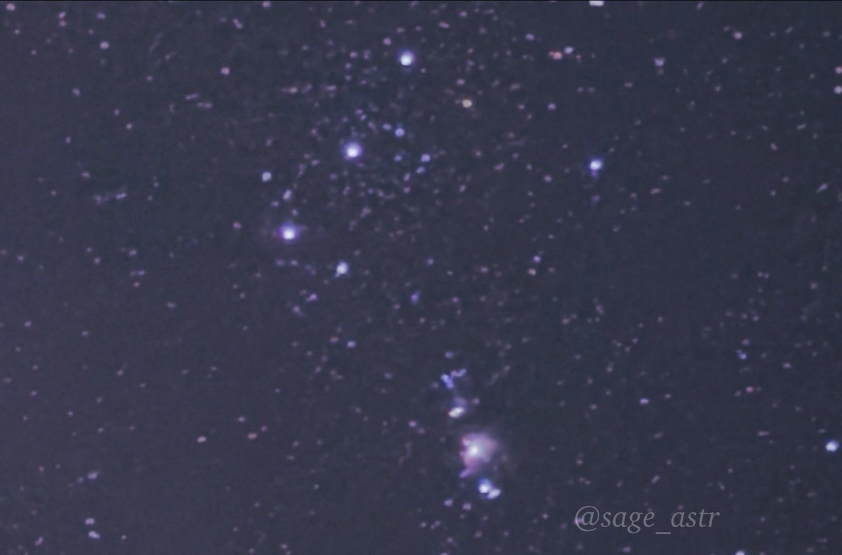 sage_astr's tweet photo. orion https://t.co/LOcmfAPmdC