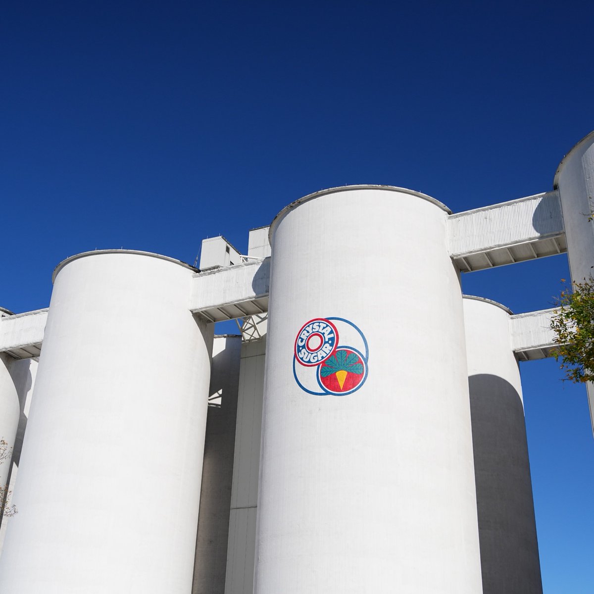 CrystalSugarCo's tweet photo. This year, the Fourth of July and International Day of Cooperatives share the same day!

We're proud to celebrate our grower-owners and the cooperative spirit that helps strengthen America. Together, they're carrying forward a legacy of stewardship, partnership and opportunity. https://t.co/UU57uitLIk