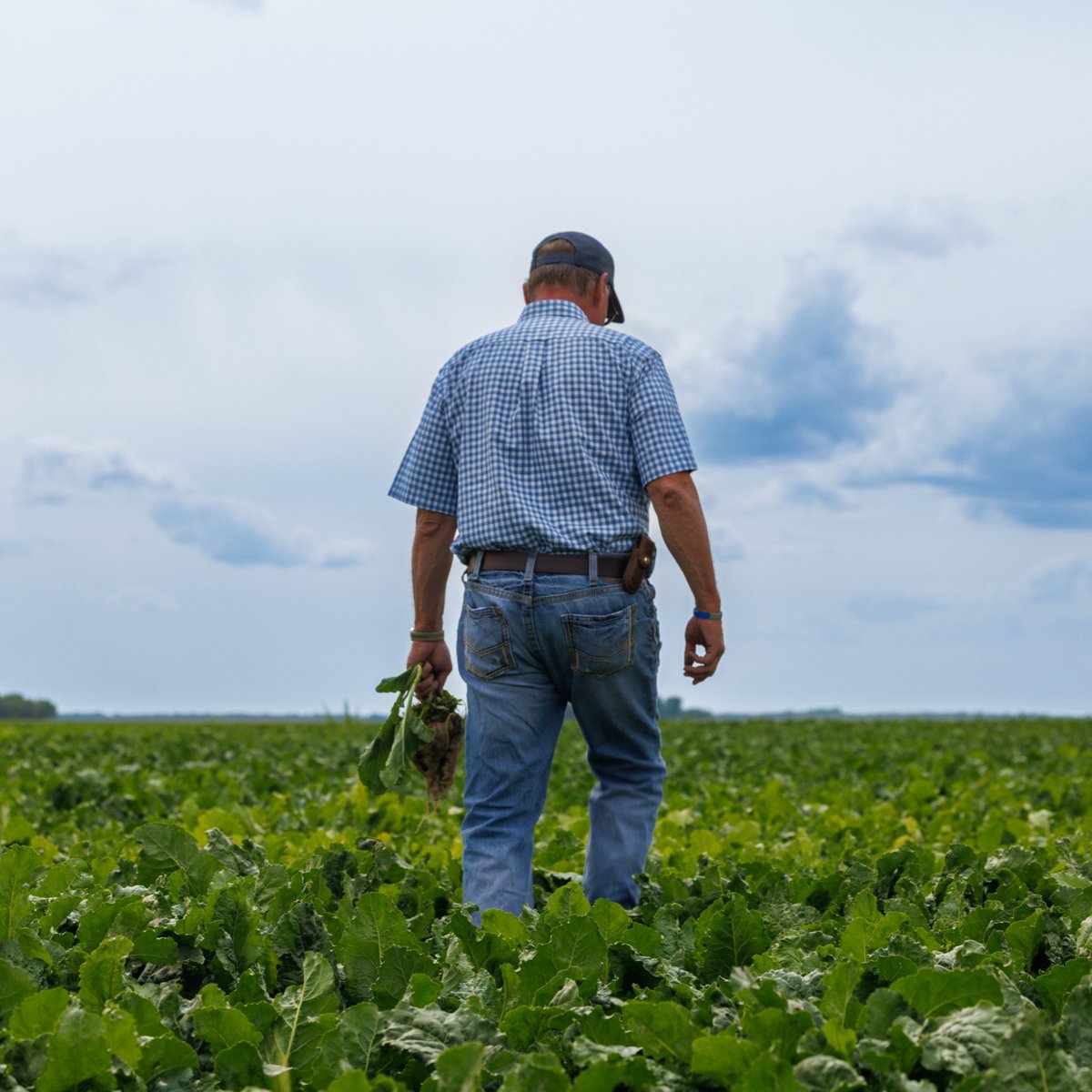 CrystalSugarCo's tweet photo. This year, the Fourth of July and International Day of Cooperatives share the same day!

We're proud to celebrate our grower-owners and the cooperative spirit that helps strengthen America. Together, they're carrying forward a legacy of stewardship, partnership and opportunity. https://t.co/UU57uitLIk