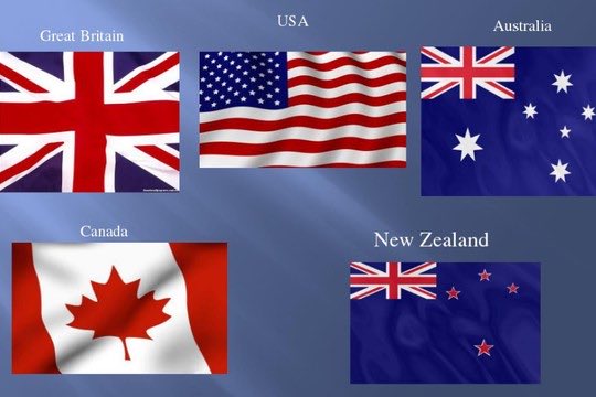 Drew Pavlou 🇦🇺🇺🇸🇺🇦🇹🇼 tweet media