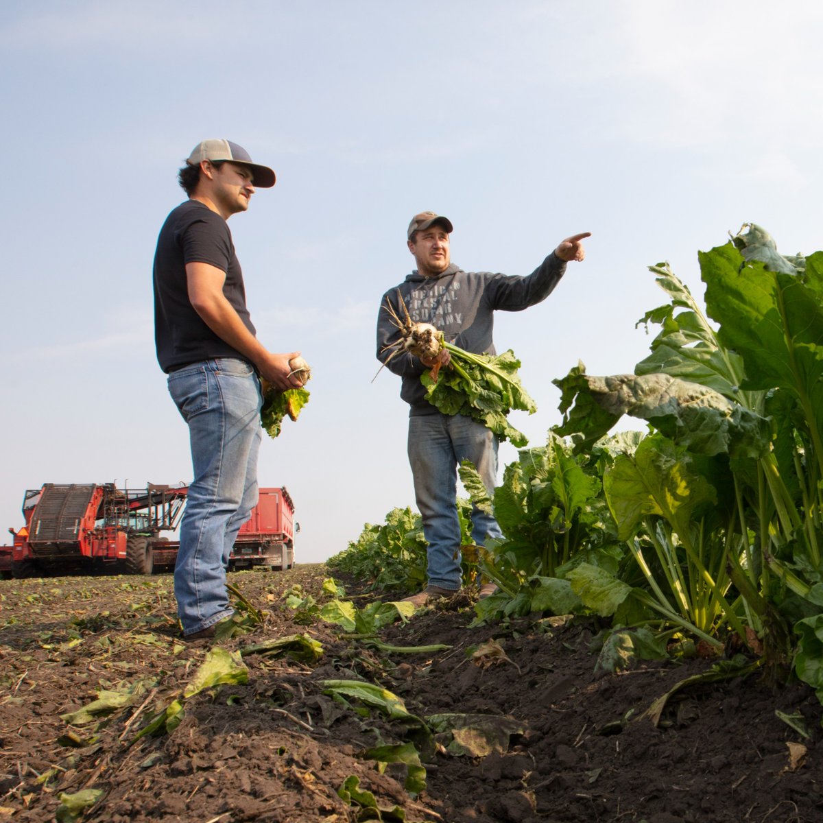 CrystalSugarCo's tweet photo. This year, the Fourth of July and International Day of Cooperatives share the same day!

We're proud to celebrate our grower-owners and the cooperative spirit that helps strengthen America. Together, they're carrying forward a legacy of stewardship, partnership and opportunity. https://t.co/UU57uitLIk