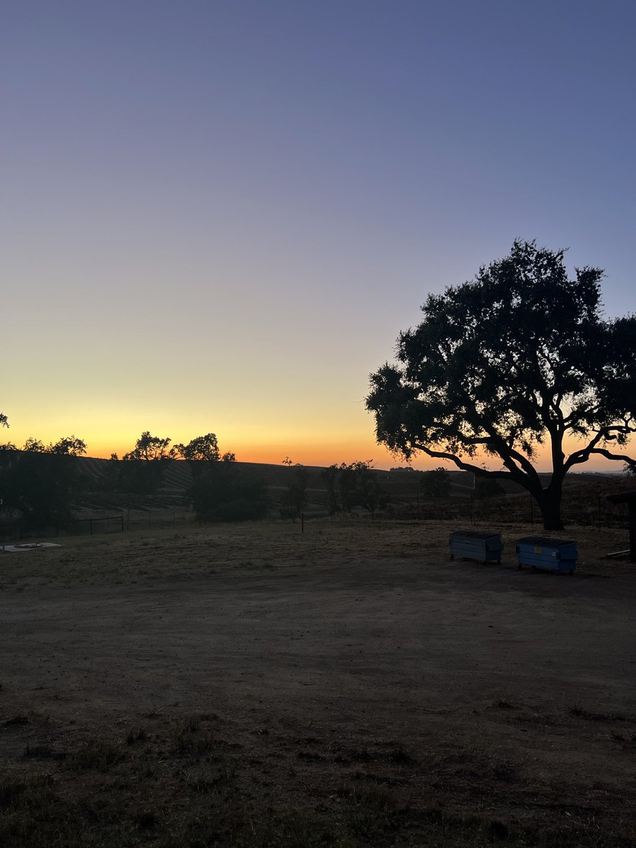 cenkuygur's tweet photo. We’re in California country for Fourth of July. America really is a gorgeous nation. Enjoy it! This land is our land, and the only one we owe allegiance to. Happy Independence Day!! To another 250 as a free country! https://t.co/30IeVfofKu