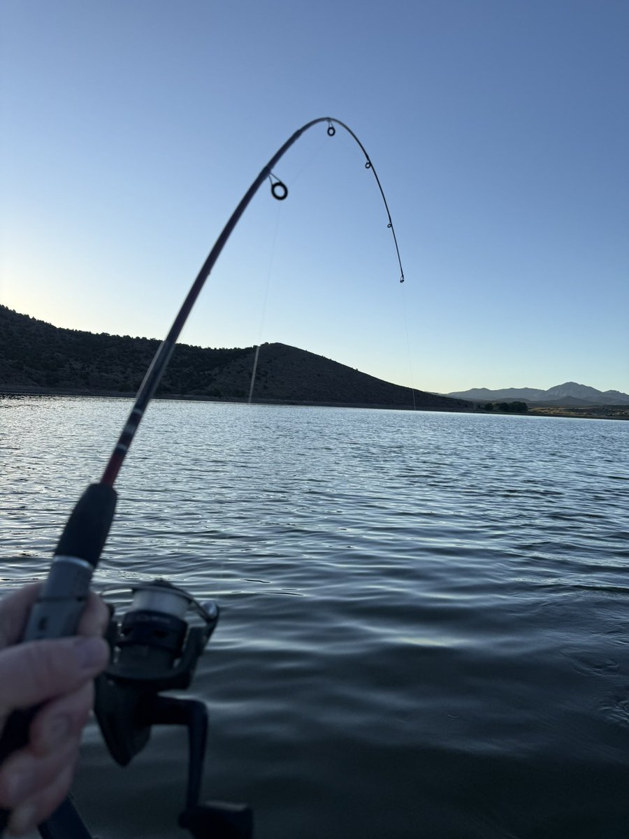 BeauKnows43's tweet photo. 🇺🇸🦅🎆

Celebrating America the Best Way I Know How! 

#Freedom #Food #Fishing #Family  #USA https://t.co/xLJm0Buag0