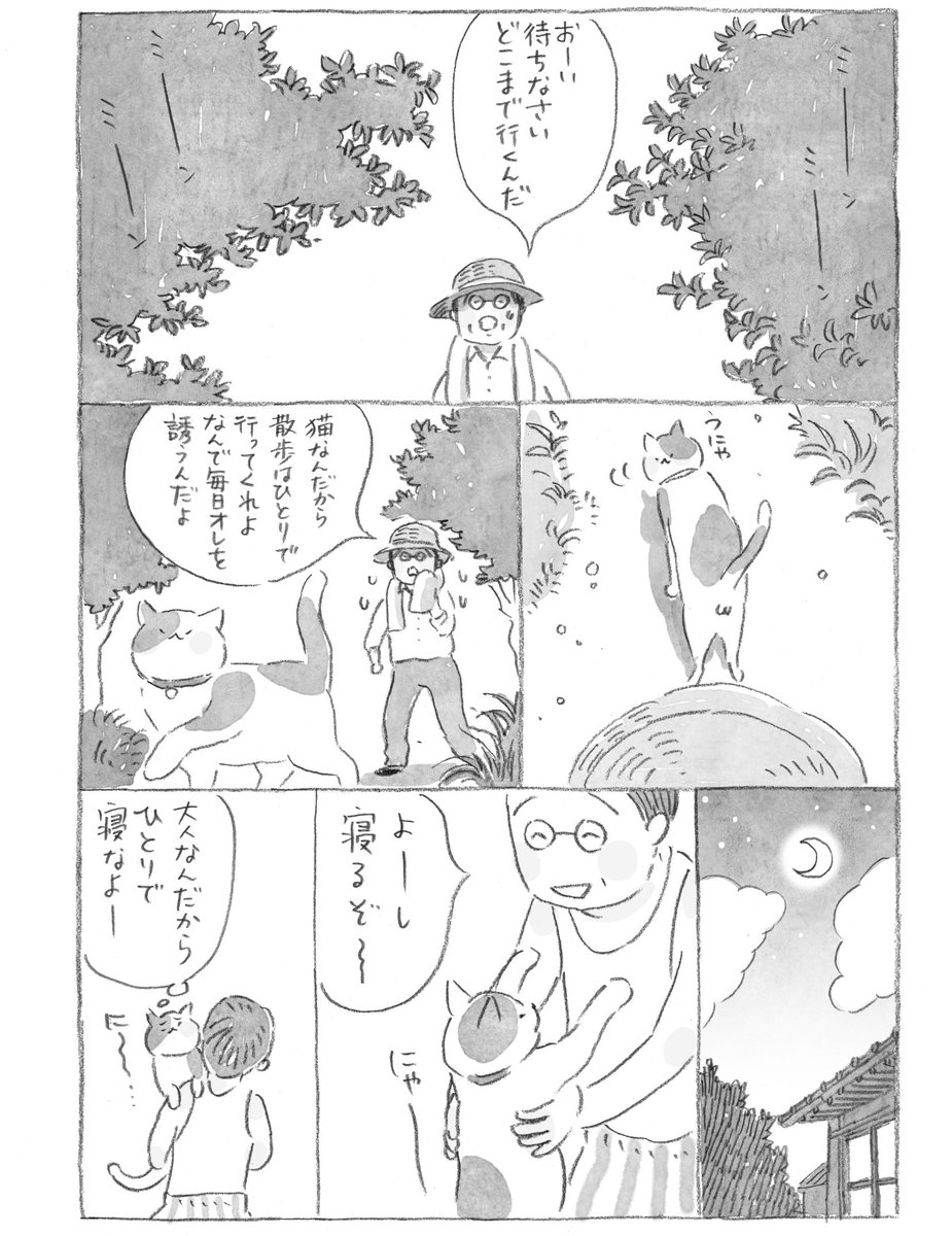 nyanta_mikan's tweet photo. https://t.co/CQSZtb01ku