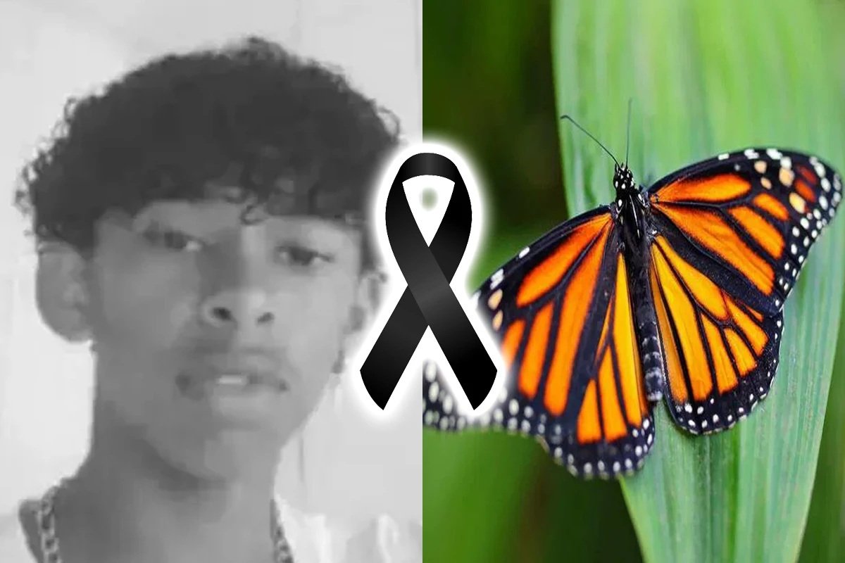 indiesciplinar's tweet photo. @DennahiMio @sortesongs @canabisbrasil o maior conquistense do mundo https://t.co/SWSP32yMQ1