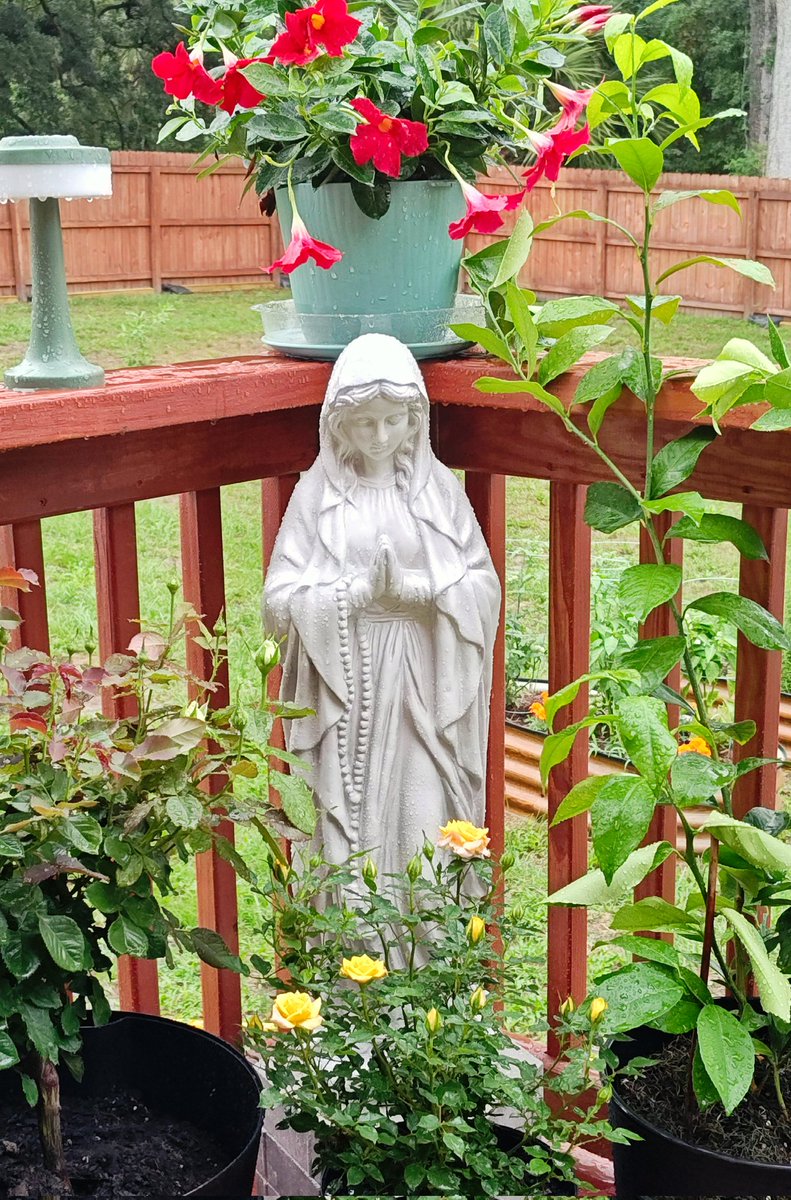 alexangus's tweet photo. Together we'll set it free
For all so everyone will see
Releasing our love letting it flow
Rhythm sways across time and space
Healing sanctuary for all in need
Do your part in surrendering love
Lifting your hands like wings
Let your love take flight
Letting grace envelope us all https://t.co/9ctP7SLGP6