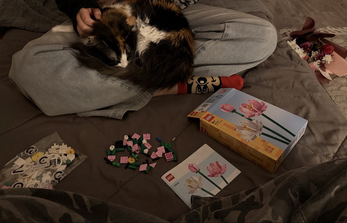 blueoctobr's tweet photo. Lego date night💐 https://t.co/ohRQbc3Dpr