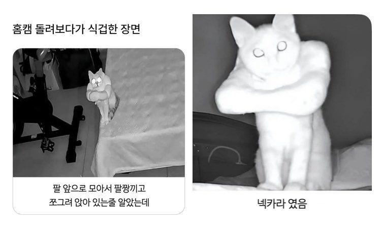 elkswj's tweet photo. 한류 뭔가 이런느낌임 https://t.co/wyXiMe8cHC