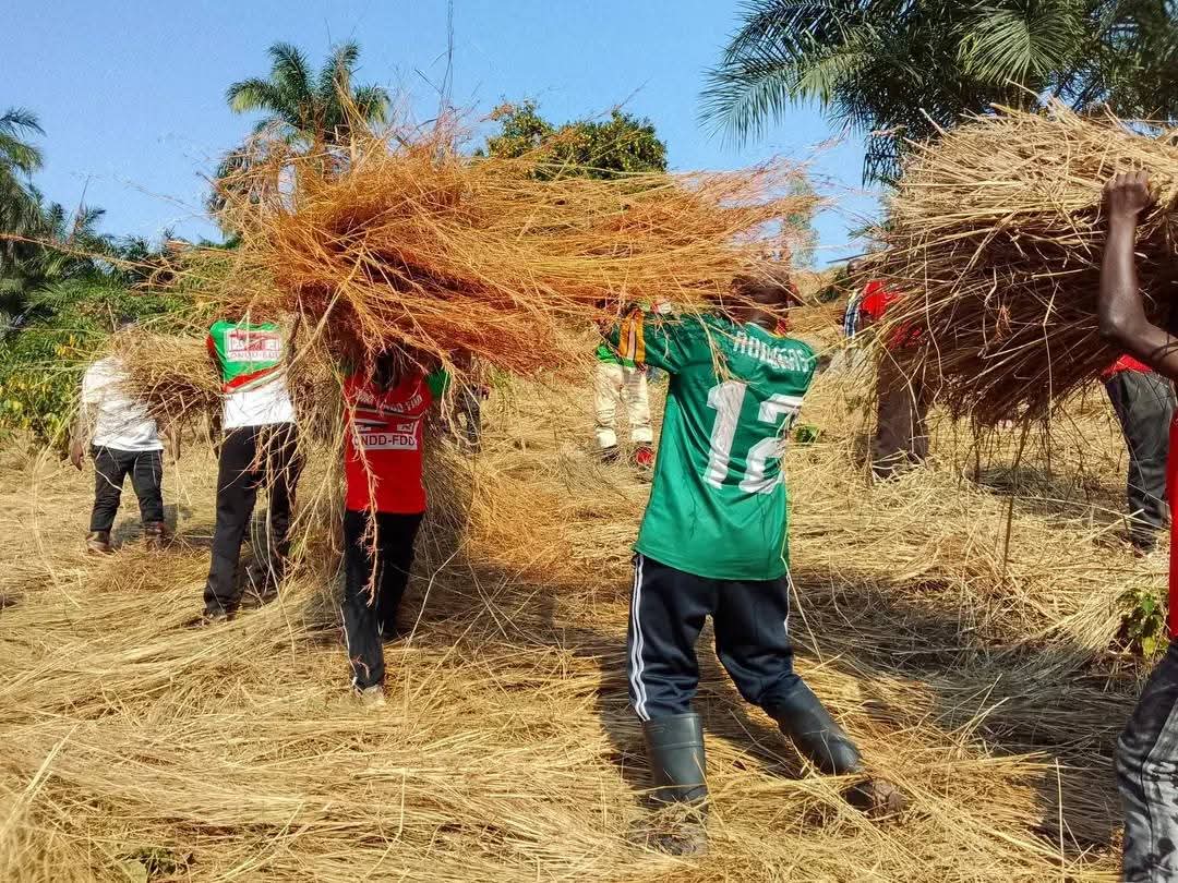 itahure's tweet photo. Ibikorwa vyo gusasira ibiti vy'ikawa n'amavoka birabandanya muri Zone #Bubanza,Komine Bubanza.
Berchimas Niyimbona,arongoye iyo zone,arashima cane umwete abenegihugu bariko bagaragaza muri ivyo bikorwa.Avuga ko bamaze gutahura ko iterambere risaba ko umuntu akura amaboko mu mpuzu https://t.co/PxOEasBwHk