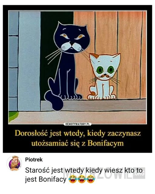 BrunoJasienski's tweet photo. https://t.co/9sLavbyE4C