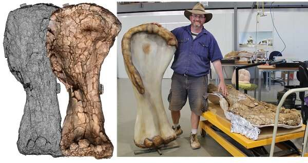 PaleontologieFr's tweet photo. 📰de 2021
#Australotitan🦕est le plus grand dinosaure d’Australie🇦🇺 !
Ce #titanosaure du #Crétacé atteignait une taille comparable aux géants d’Amérique du Sud, révélant des liens entre les faunes du Gondwana.🌏
#Sauropoda

📰 https://t.co/FycRVSJwqw

🔎 https://t.co/XnGHU8iJka https://t.co/uqGEwfMj5j