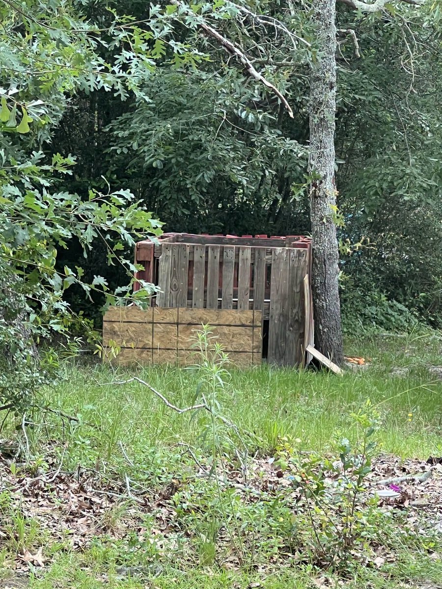 FlojoeTV's tweet photo. #FIRSTLOOK: A look at the Aiken County home of Javeayah Harris’ parents as the investigation into the 4-year-old’s death continues.
https://t.co/l2h3hdtQan https://t.co/Zc5lxpzgKL