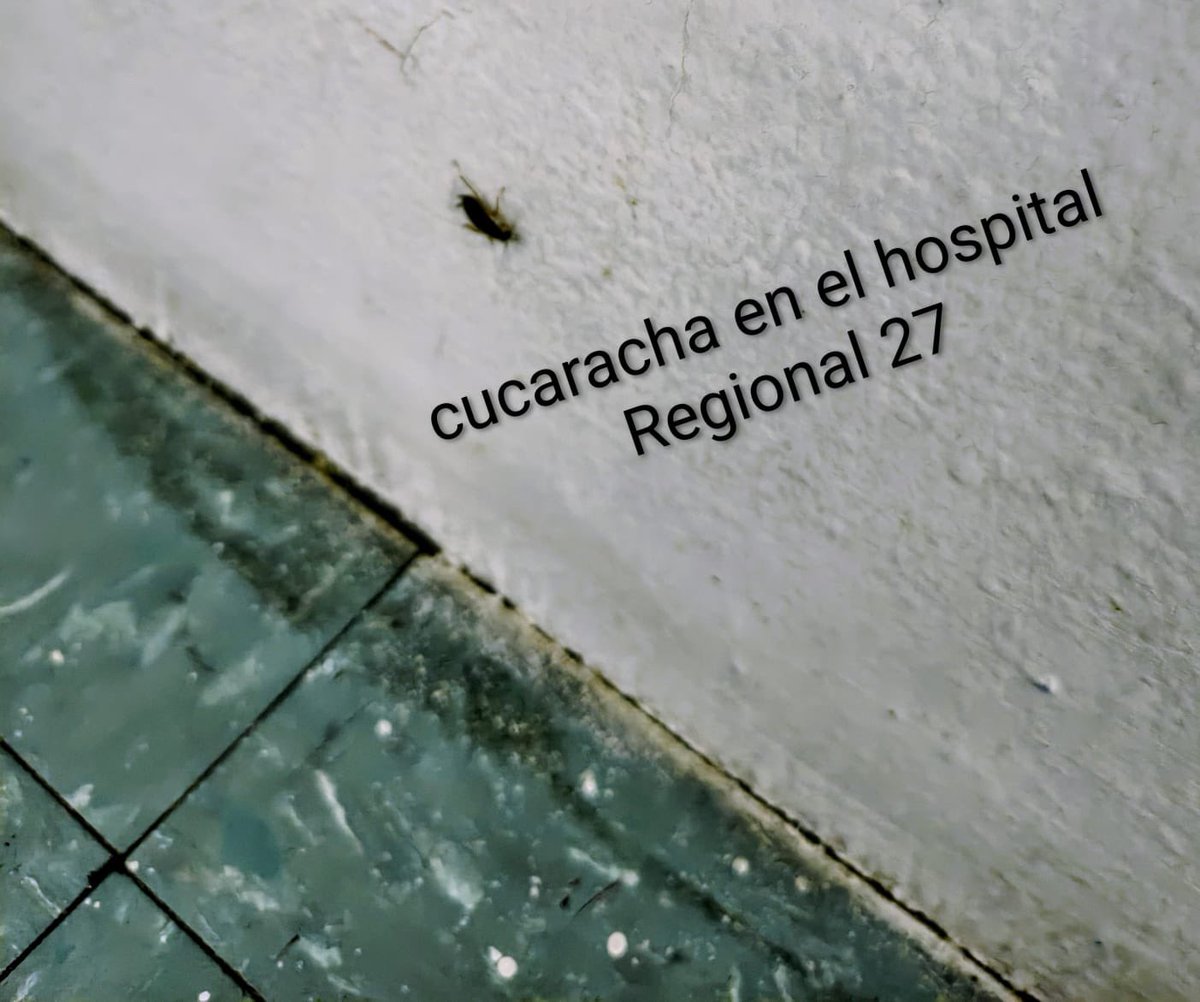 yulianiall1's tweet photo. @Tu_IMSS nos hablan de trato digno, pero en el hospital 27 que se encuentra en Tlatelolco, tratan de forma extremadamente inhumana, está muy sucia y hasta hay cucarachas, se les cayó mi papá y no nos dijeron. El barandal de su cama está roto y en trato digno nunca hay nadie. https://t.co/z8TaT1NJg1