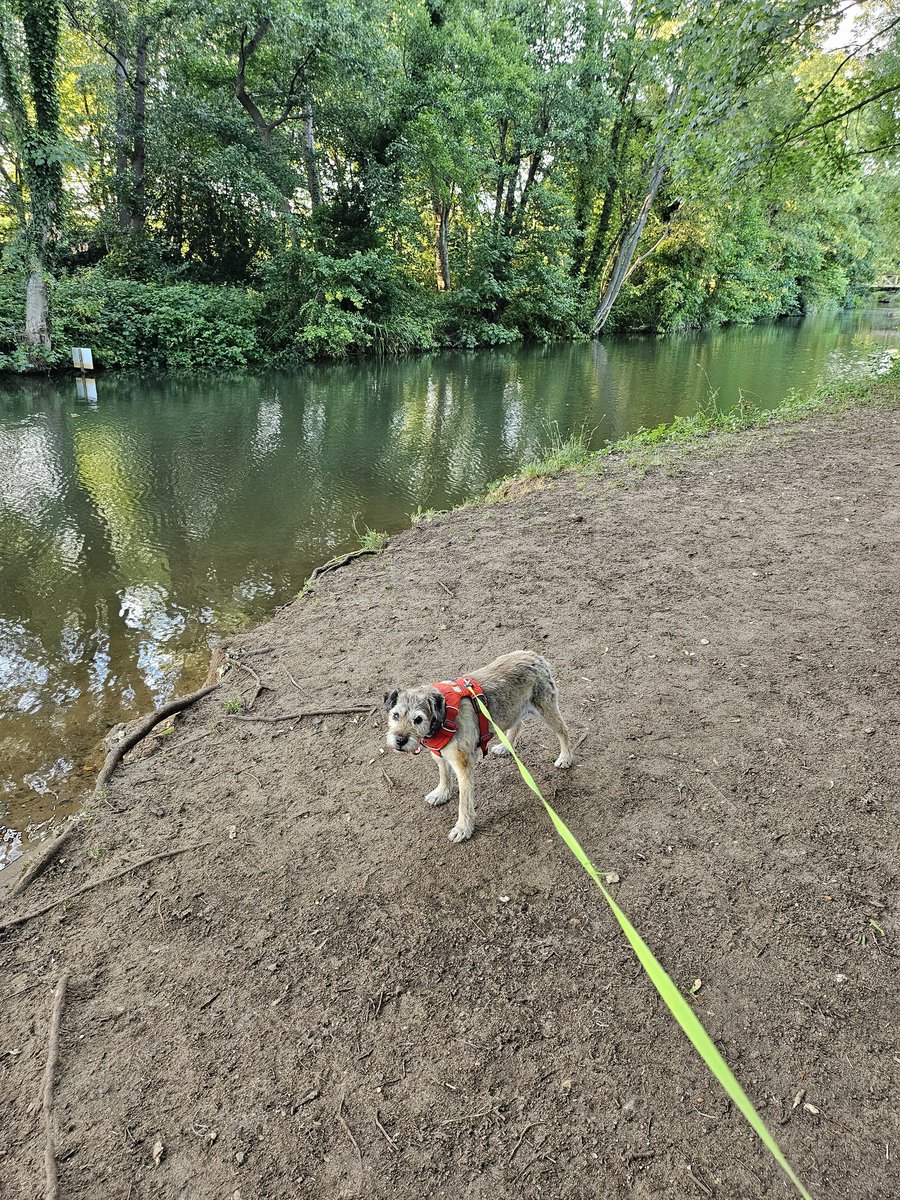BorderRo's tweet photo. Out for an evening walk when I should be in bed ๐ #daftidea https://t.co/khFR6GTSI4