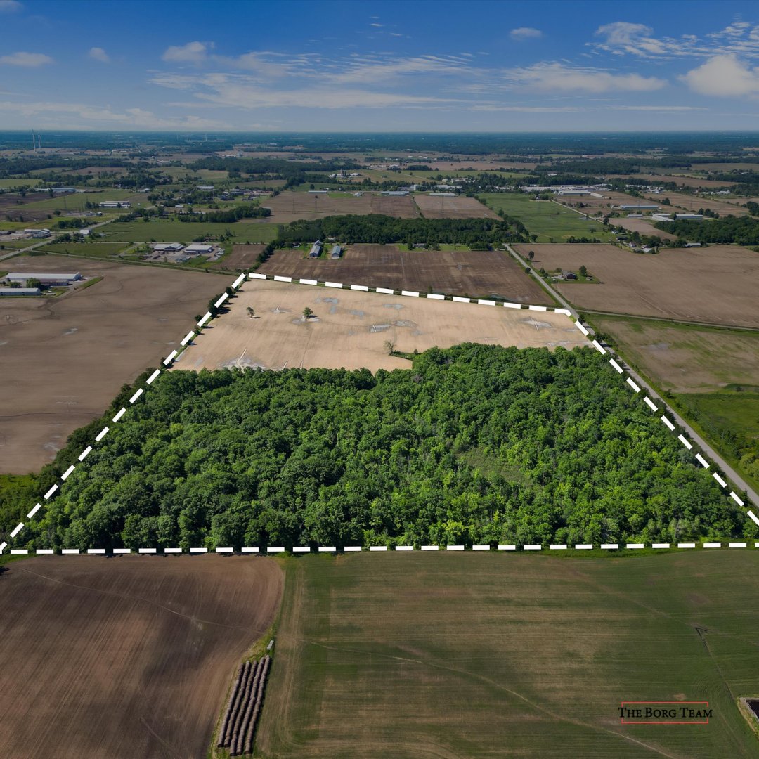 JeffBorgRealtor's tweet photo. FOR SALE - 3365 Consession 7 Road West Lincoln, ON

🌿 Incredible Opportunity! Over 60 acres of farmland, mature trees, wetlands, and recreational land offering endless potential. #Lincoln #forsale #60acres #theborgteam #jeffborg 
https://t.co/Yy1qy7Sh91 https://t.co/nZcIrOkPT5
