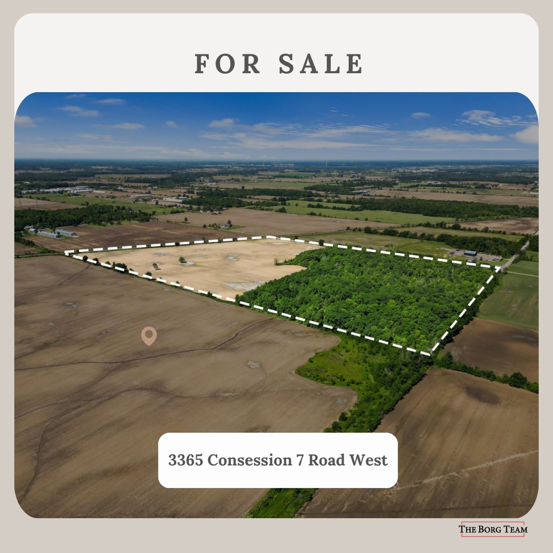 JeffBorgRealtor's tweet photo. FOR SALE - 3365 Consession 7 Road West Lincoln, ON

🌿 Incredible Opportunity! Over 60 acres of farmland, mature trees, wetlands, and recreational land offering endless potential. #Lincoln #forsale #60acres #theborgteam #jeffborg 
https://t.co/Yy1qy7Sh91 https://t.co/nZcIrOkPT5