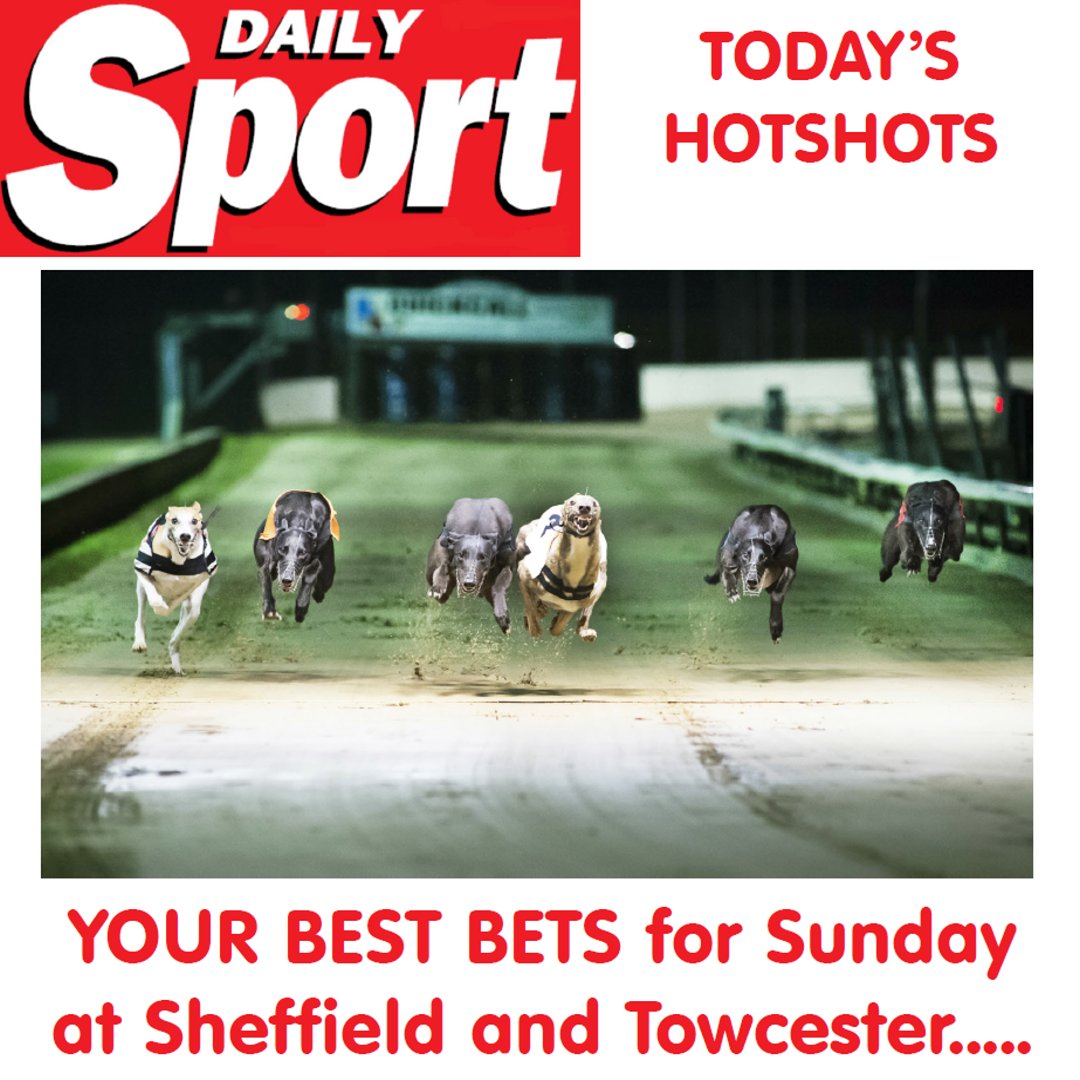 Daily_Sport's tweet photo. #DailySportSunday YOUR BEST BETS for Sunday @ Sheffield & Towcester
Today's Best bets https://t.co/lWXiDTND7e
#TheSport #DailySport #DogRacing #Greyhounds #TheDogs #Betting #TheRaces #Races #Tips #RacingTips #WeekendSport #Sheffield #Towcester
@OwlertonStadium @TowcesterGHs https://t.co/Ls9XGgOgOX