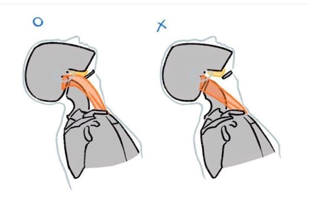 fznutri's tweet photo. Improve the connection of the neck muscles. https://t.co/h2TO3yFoO4