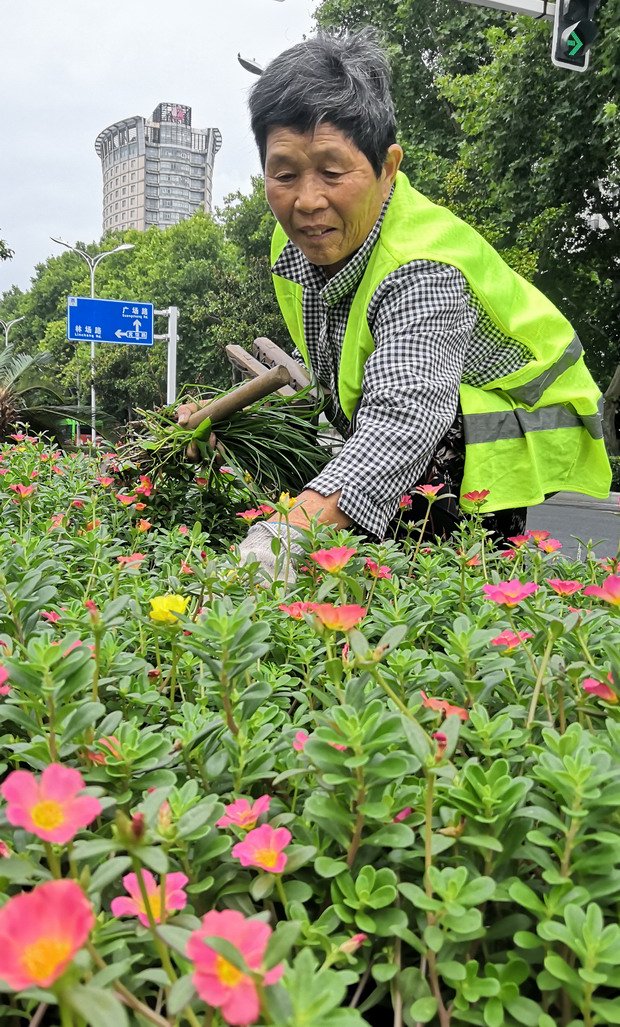 bjr011's tweet photo. Join our community garden cleanup this Sat! We’ll plant flowers, remove weeds, and share free homemade lemonade. All neighbors u0026 kids welcome—bring gloves if you can! https://t.co/D4dNfmR82I