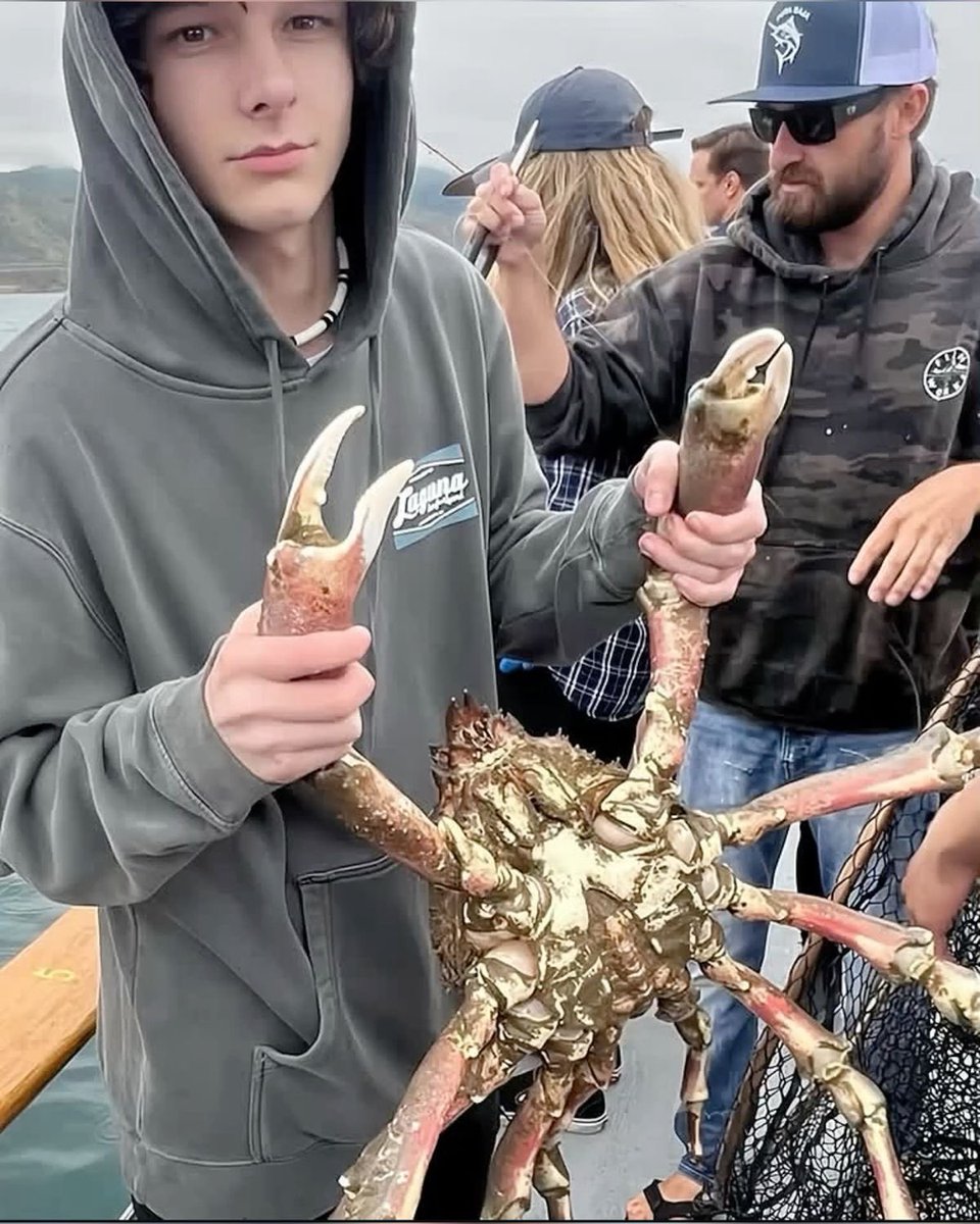 taintedpogue's tweet photo. big  crab  to  scare  jj https://t.co/mAdn4rCzIw