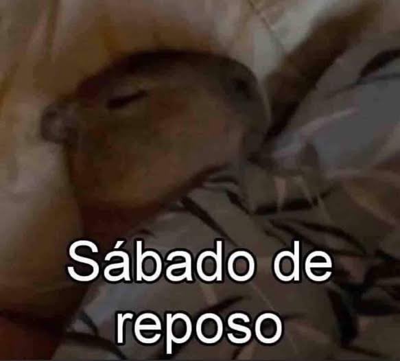 xilipee tweet media