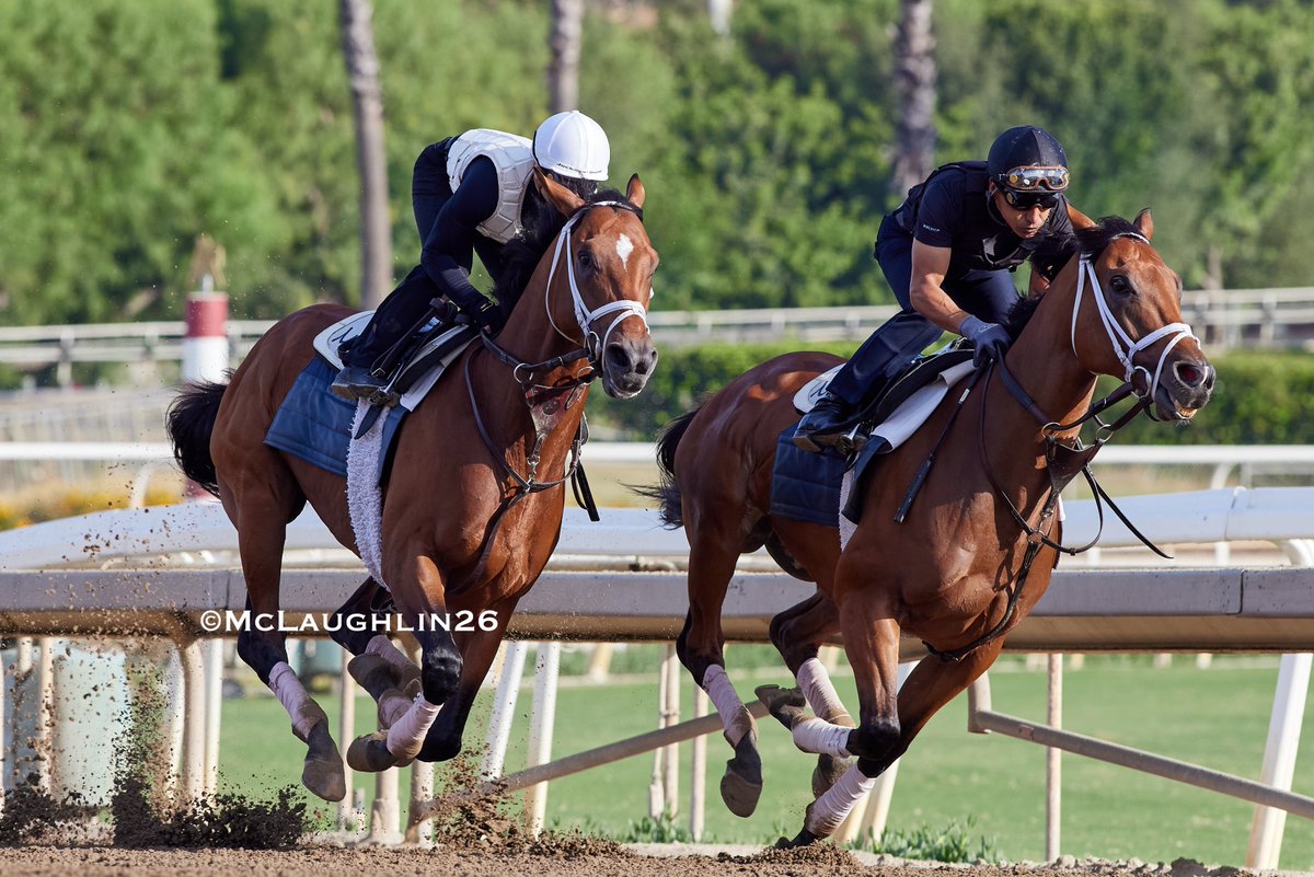 kimo16's tweet photo. Journalism back at work this morning 4F in 47.60 under Umberto Rispoli outside of Phosphorescence with Tony Gutierrez in the irons for trainer Michael McCarthy @santaanitapark @EclipseTBP @mwmracing @umbyrispoli https://t.co/Ke0IBxIRgX