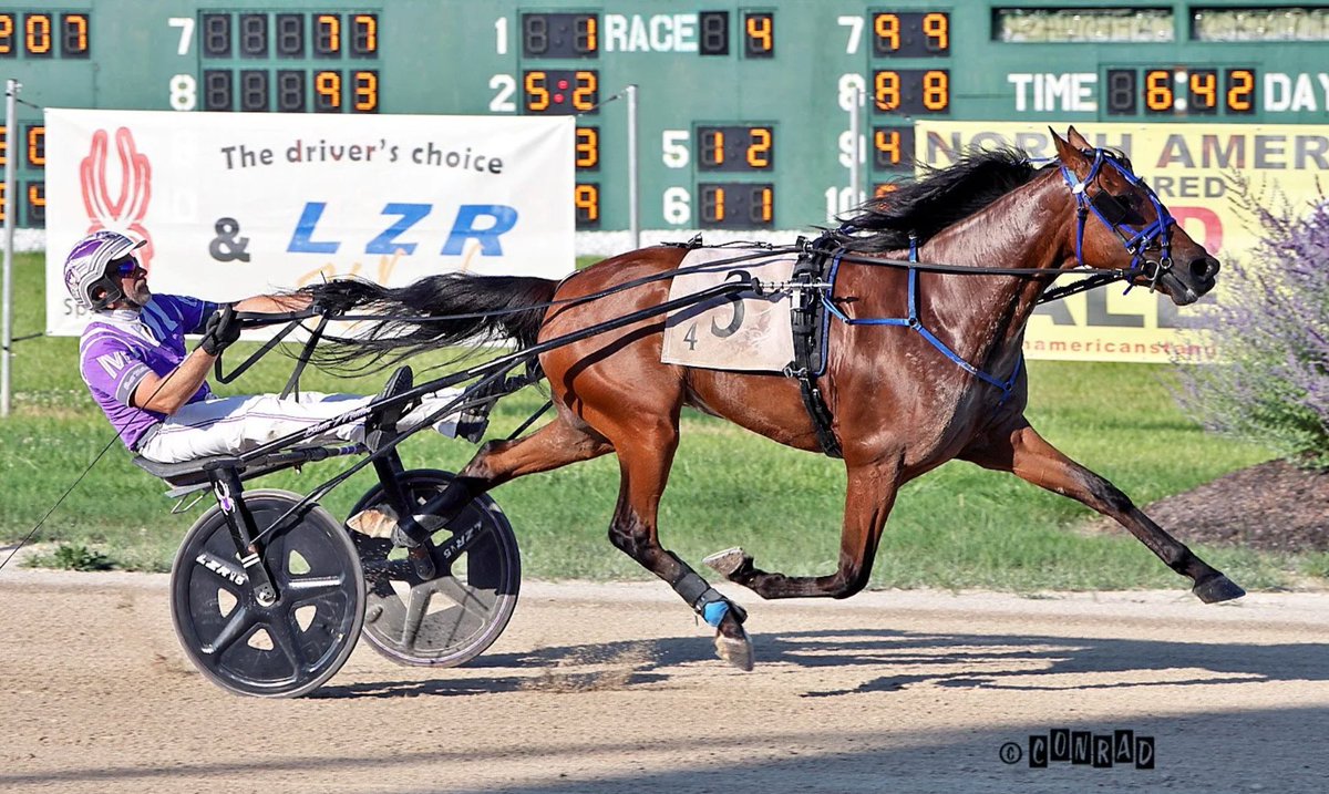 harnesselite tweet picture