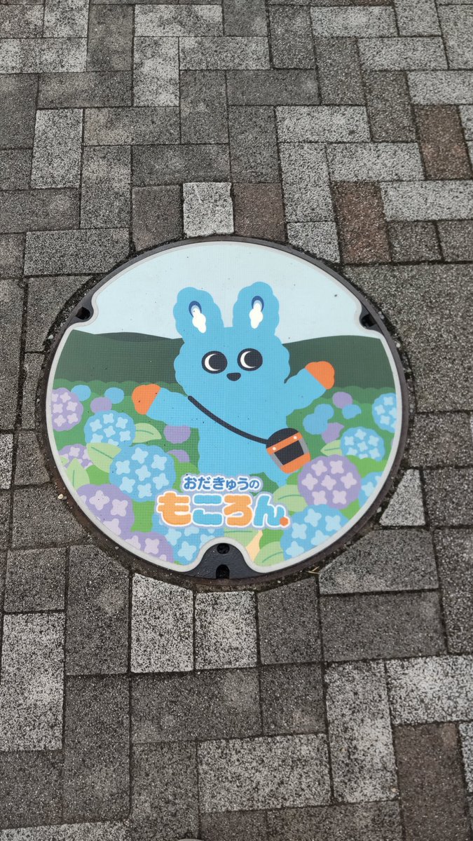 rangeabc's tweet photo. 小田原駅と開成駅近くで撮影したカラーマンホールを
また来週 ➰👋😃

#gnrr https://t.co/GcAAmVpc7R