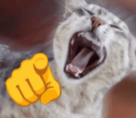 chacacanjp's tweet photo. @fantasypolillas no way las etapas de una abeja, pega el pique y muere https://t.co/bDUl57VHEg