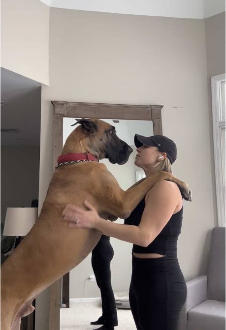 KnottyCherri2q's tweet photo. #doglover #kinky #knottycherry
  
 Tap link below to join my channel 😋🍑🐾💦🐶👇👇👇

https://t.co/qlz4mrsodR https://t.co/K6z4S7s15I