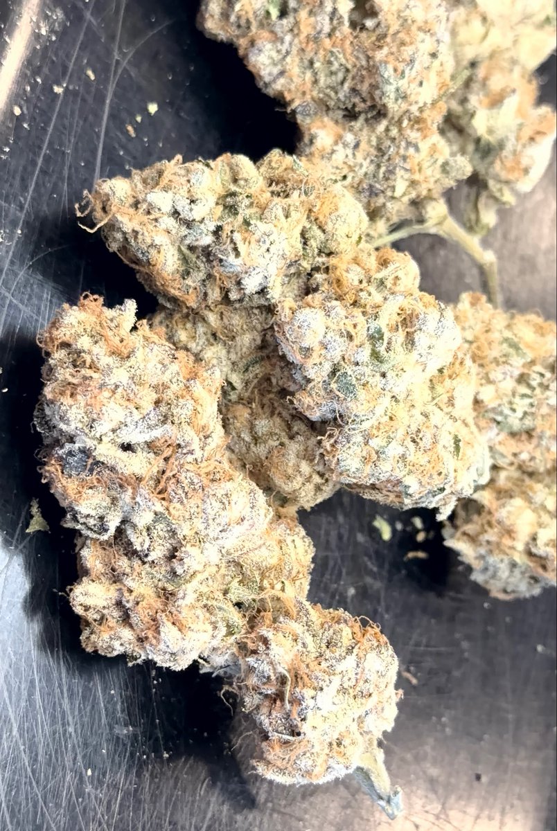 iluvjoints2003's tweet photo. pics of my beautiful weed strain is rudeboi og , my top fav rn smokes so good https://t.co/xRjxfaskIu