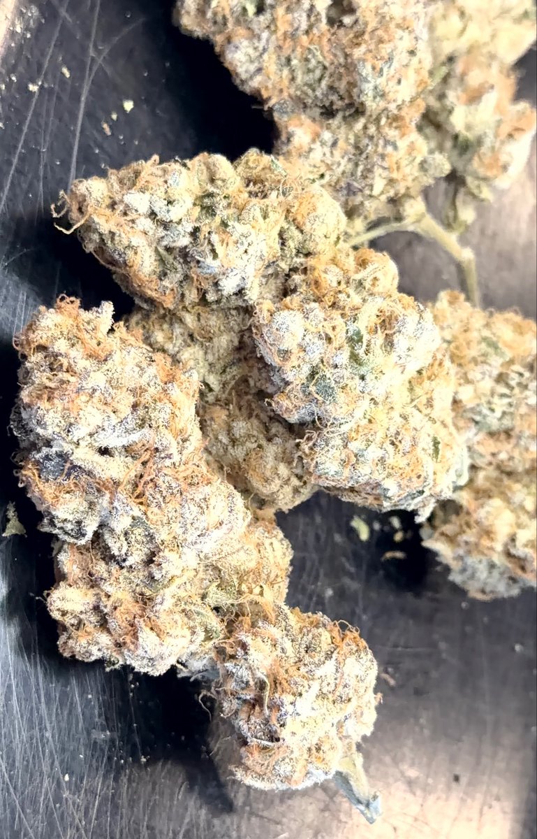 iluvjoints2003's tweet photo. pics of my beautiful weed strain is rudeboi og , my top fav rn smokes so good https://t.co/xRjxfaskIu