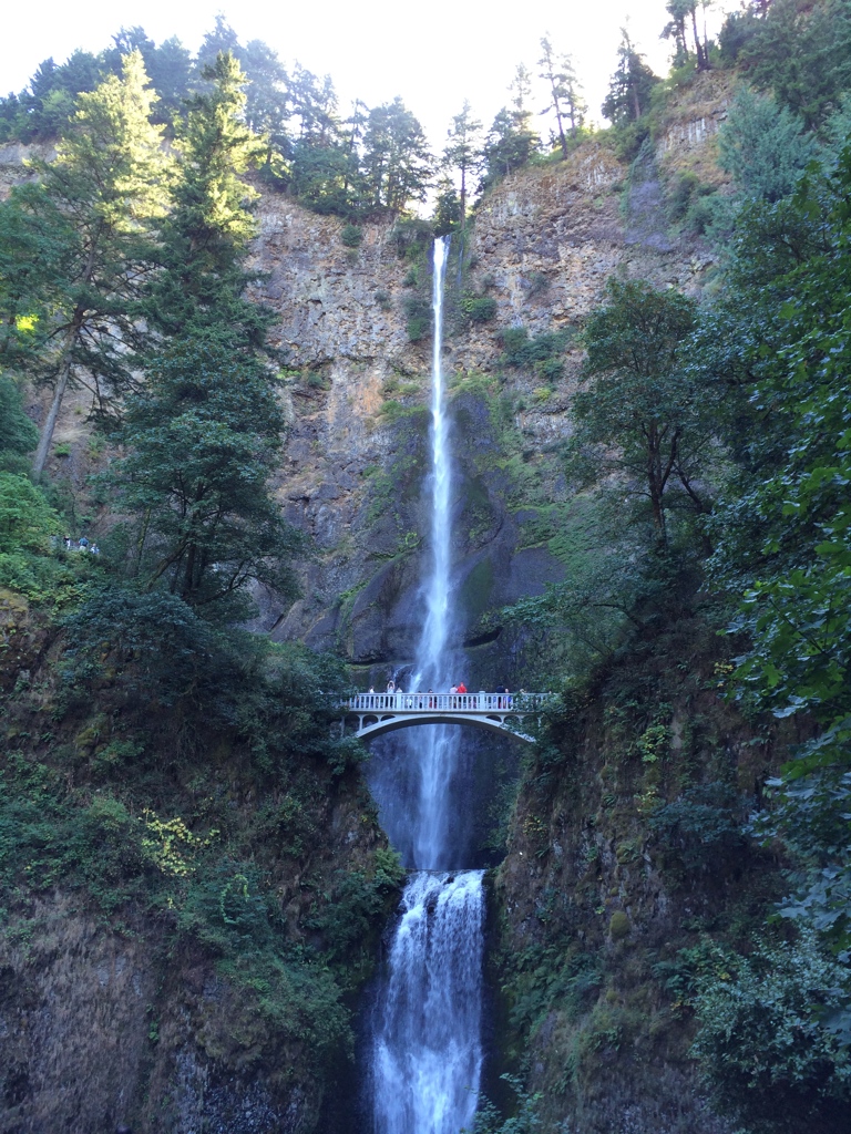 Gen_Xpert's tweet photo. USA 250
Multnomah Falls https://t.co/ZbMz0vzcHm