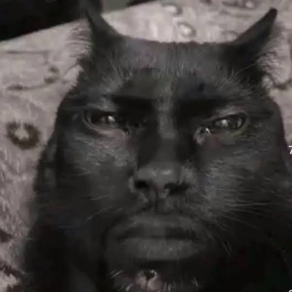 amrcury's tweet photo. Salem JAJAJAJAJAJSHDJA 😭 https://t.co/hej72ReXmY