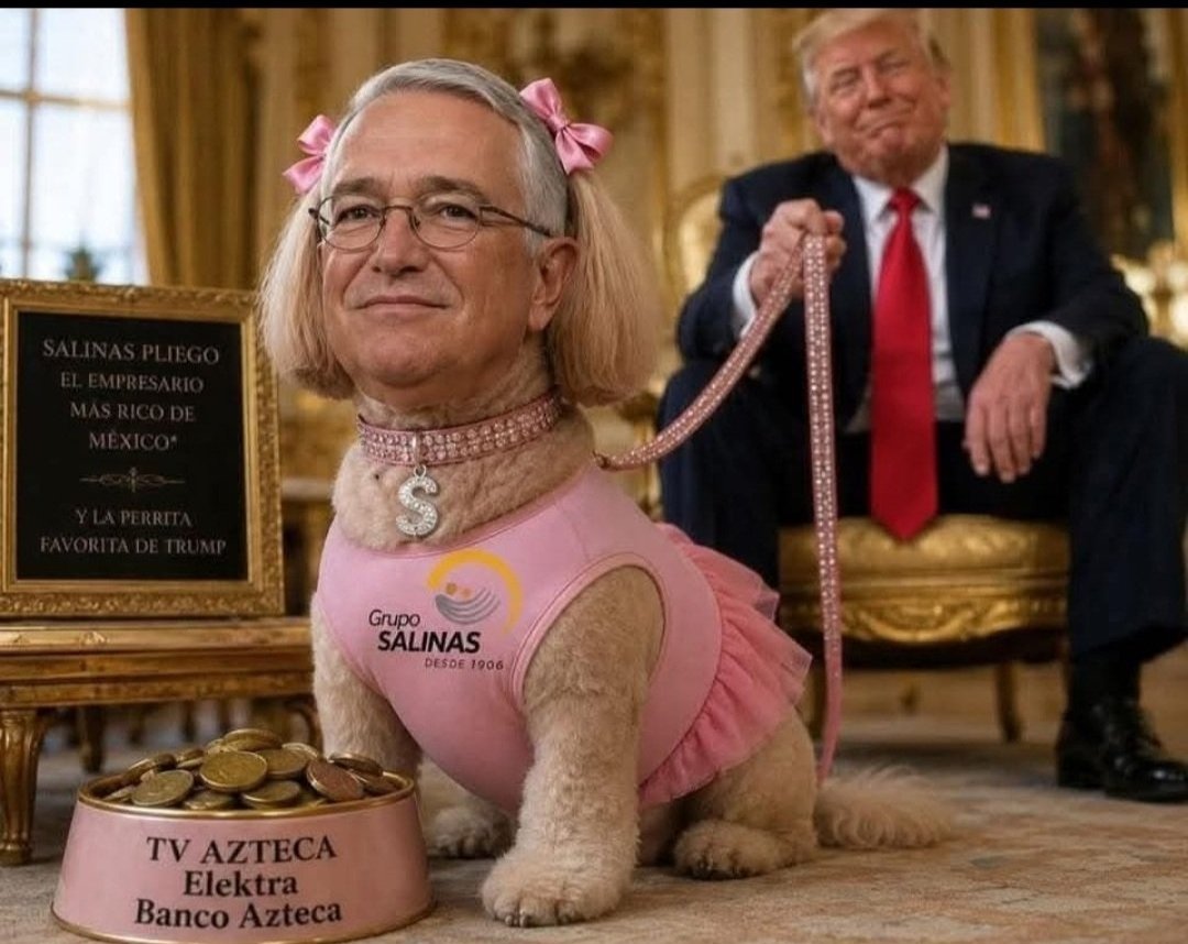 XMen091161's tweet photo. @YosoyPedrero Este wey es mascotita de #LaPerritaDeTrump... Es una de sus perritititas https://t.co/YHkHgg0HUC