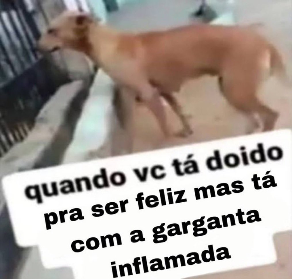 acervodoguinhos's tweet photo. https://t.co/AcZe1utRQx