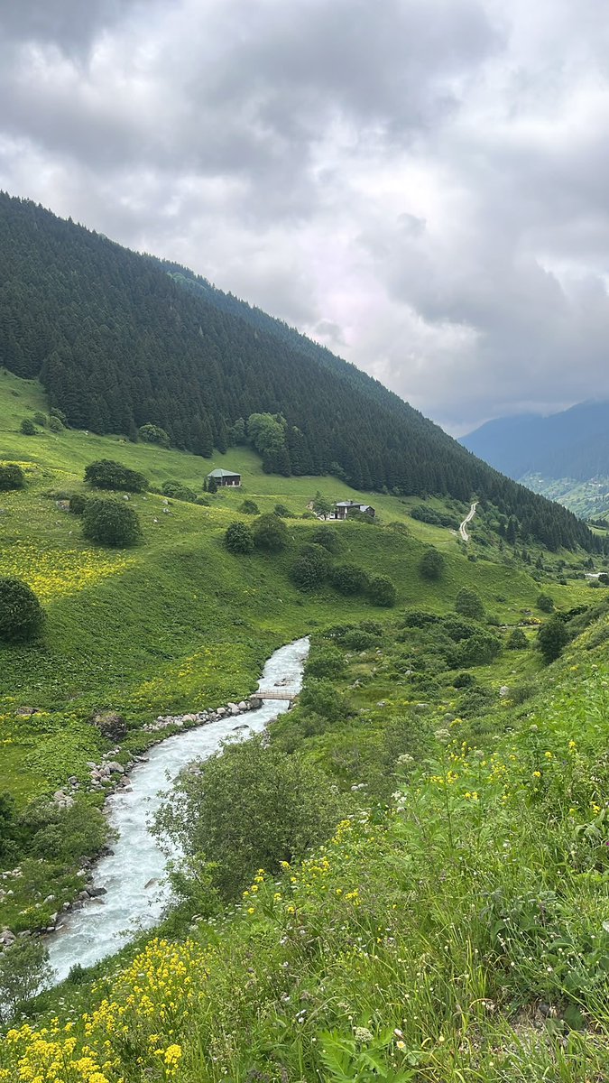 oykursun's tweet photo. İsviçre olsa beğenirdiniz ama burası Rize https://t.co/526iRqx8fM