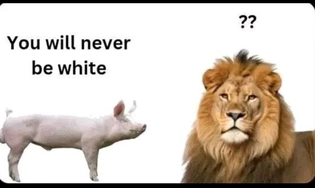 Brunol_only's tweet photo. @Ineedhelpx666x @TheNorfolkLion U don't know english and geography😂,wtf are u saying East africa then Qatar ,go read a book https://t.co/EsNLFs5xZL