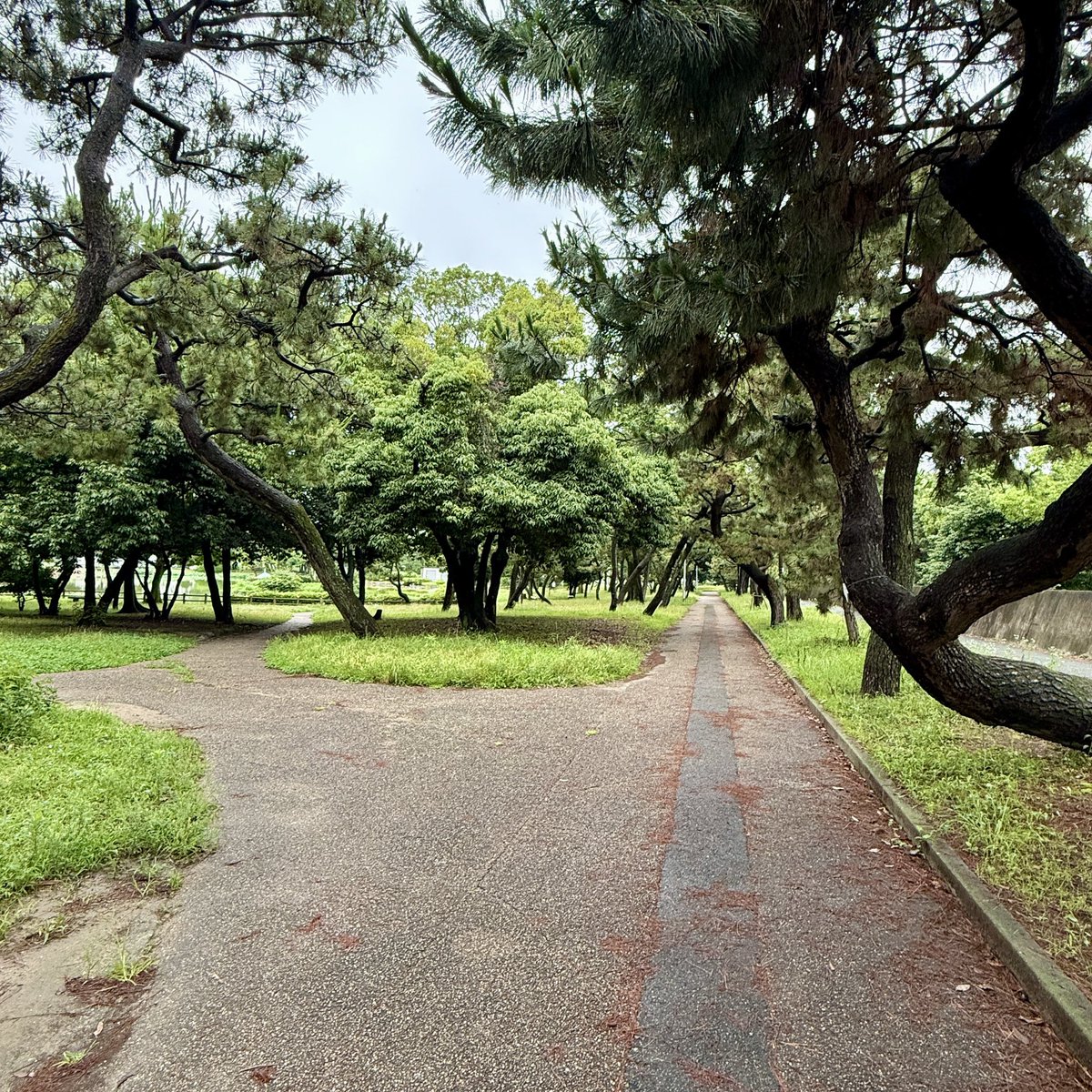 yanopanda's tweet photo. おはよ
雨上がり https://t.co/IUMjTCz7jK