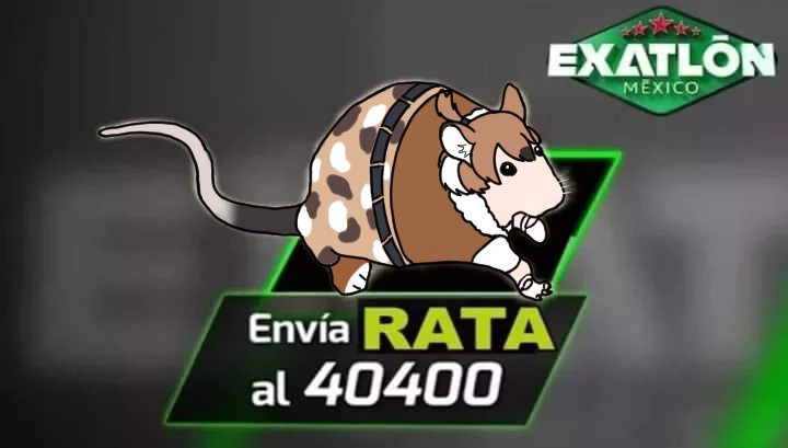 MapacheComun's tweet photo. Curi
Envía rata al 40400 https://t.co/SNR2XX6qVf